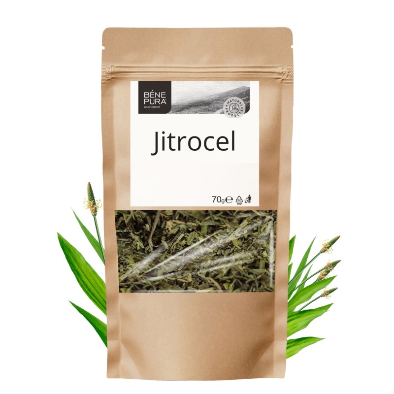 Jitrocel - 70g - Bylinky