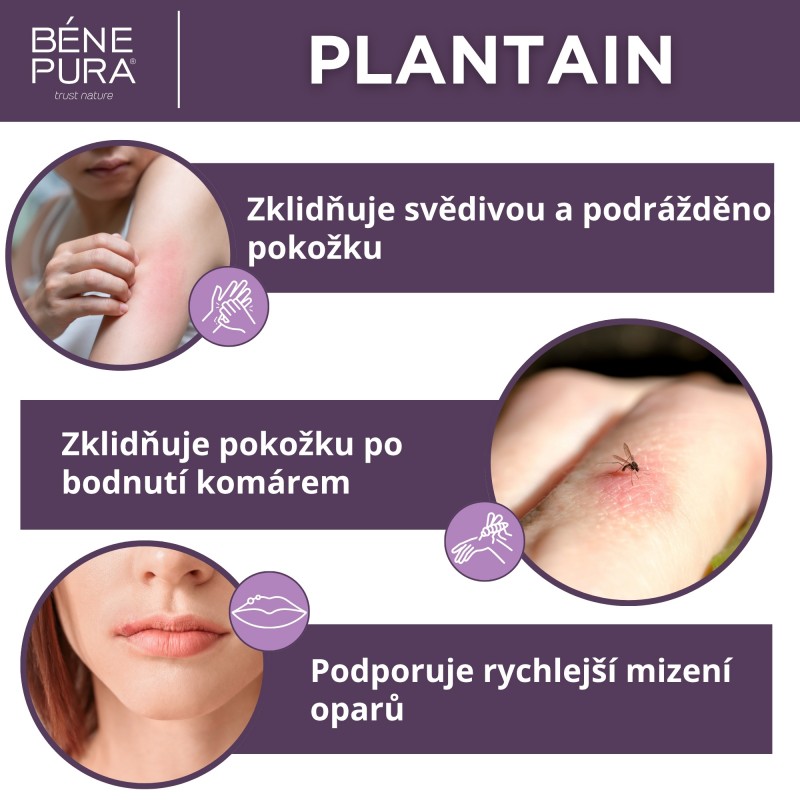 Sada Masti na Svědění