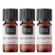 3x Bio Éterický olej Eukalyptus Radiata - 5ml