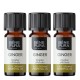 3x Bio Éterický olej Zázvor - 5ml
