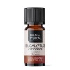 Bio Éterický olej Eukalyptus Citriodora - 5ml