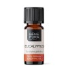 Bio Éterický olej Eukalyptus Globulus - 10ml
