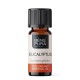 Bio Éterický olej Eukalyptus Globulus - 10ml