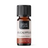 Bio Éterický olej Eukalyptus Radiata - 5ml