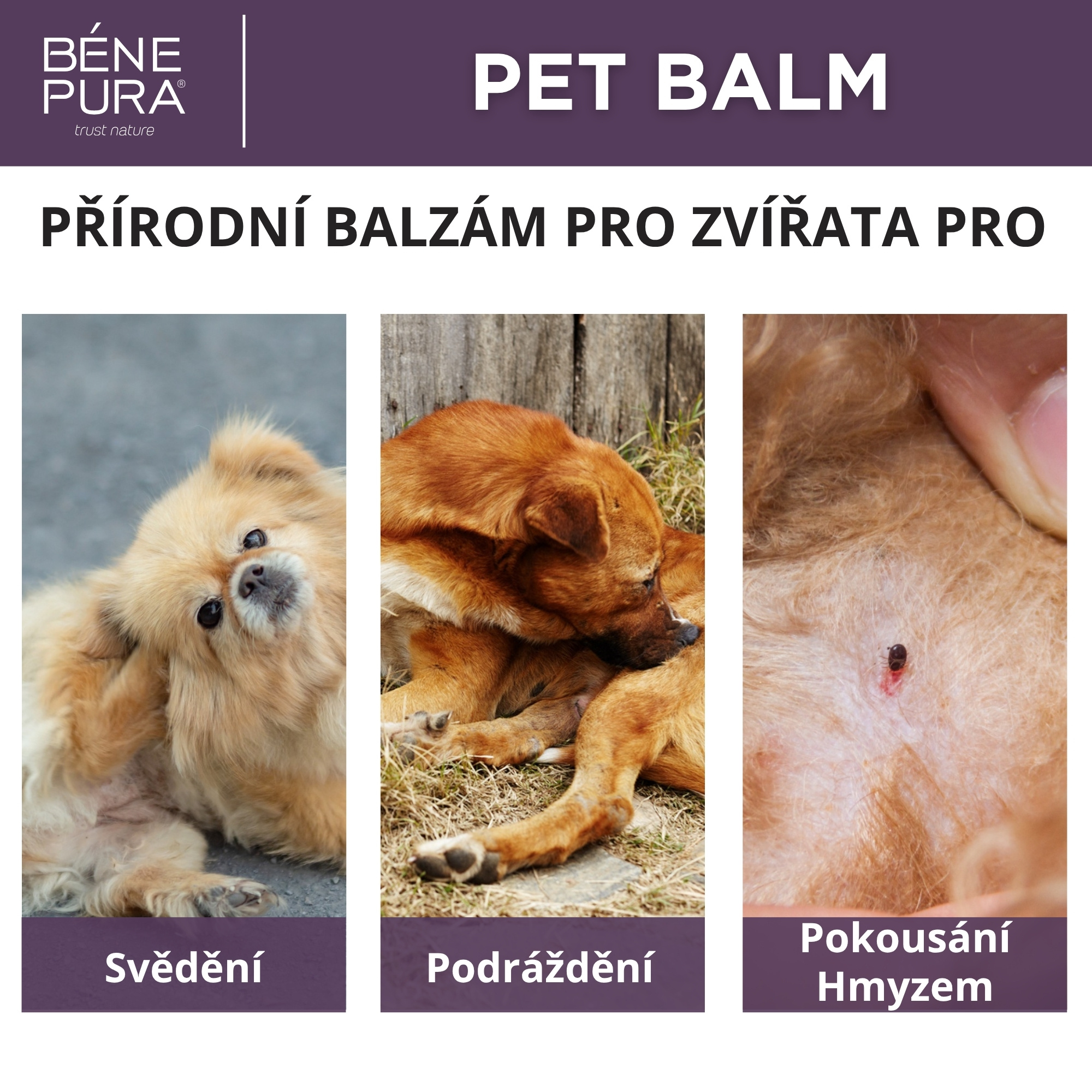 Sada "Masti pro Psy"