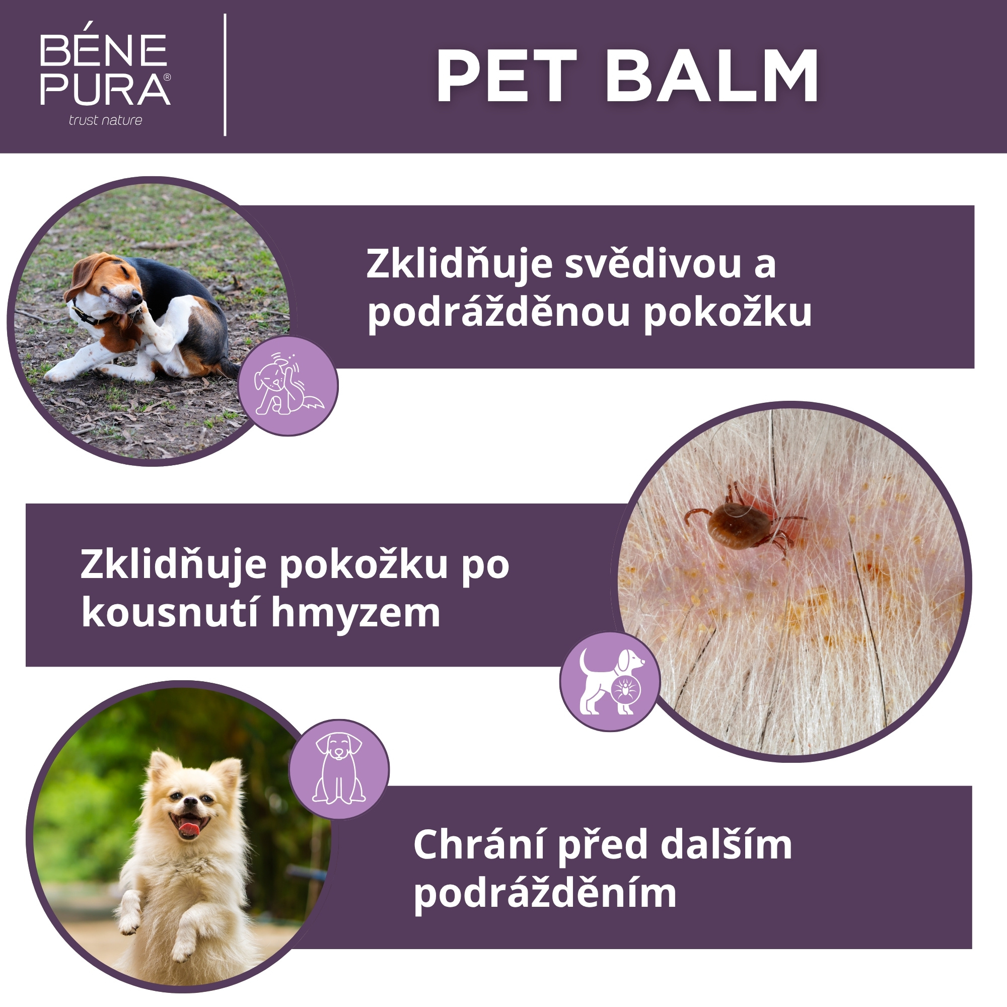 Sada "Masti pro Psy"