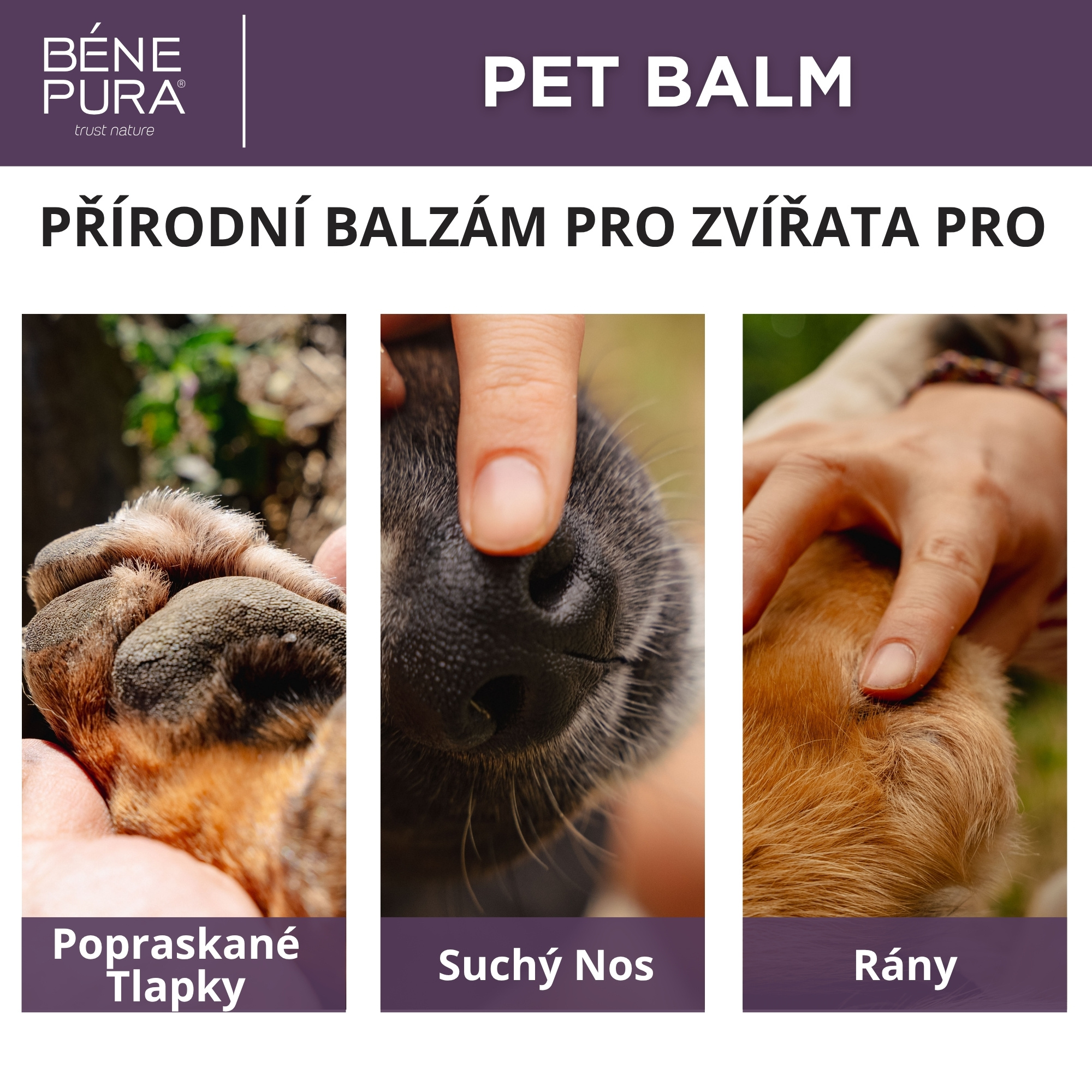 Sada "Masti pro Psy"