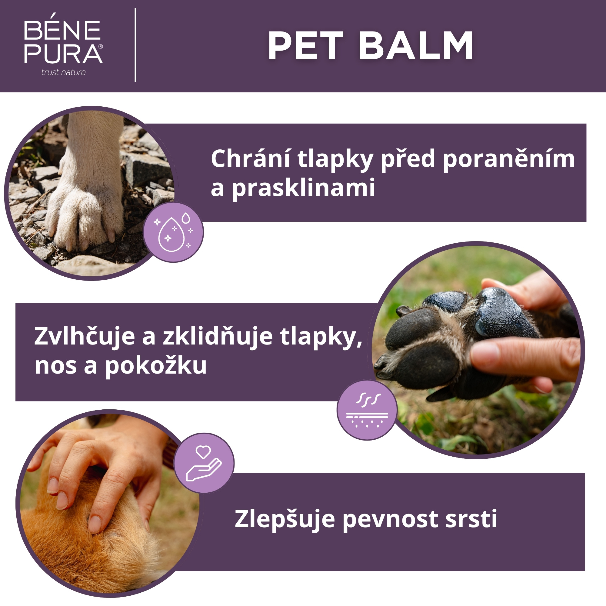 Sada "Masti pro Psy"